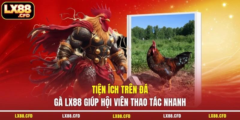 Tiện ích trên đá gà LX88 giúp hội viên thao tác nhanh